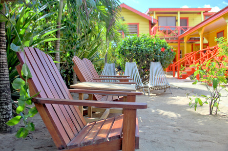 garden and office view.jpg
