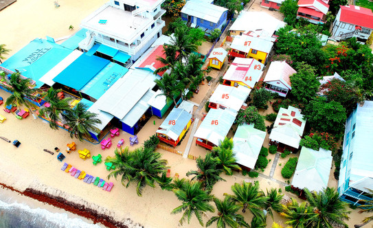 Aerial View of all buildings.jpeg