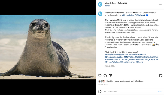 Screen Shot 2022-07-03 at 11.27.34 AM.png