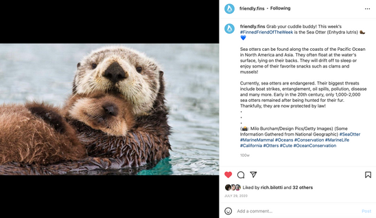 Screen Shot 2022-07-03 at 11.29.02 AM.png