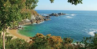 images-5