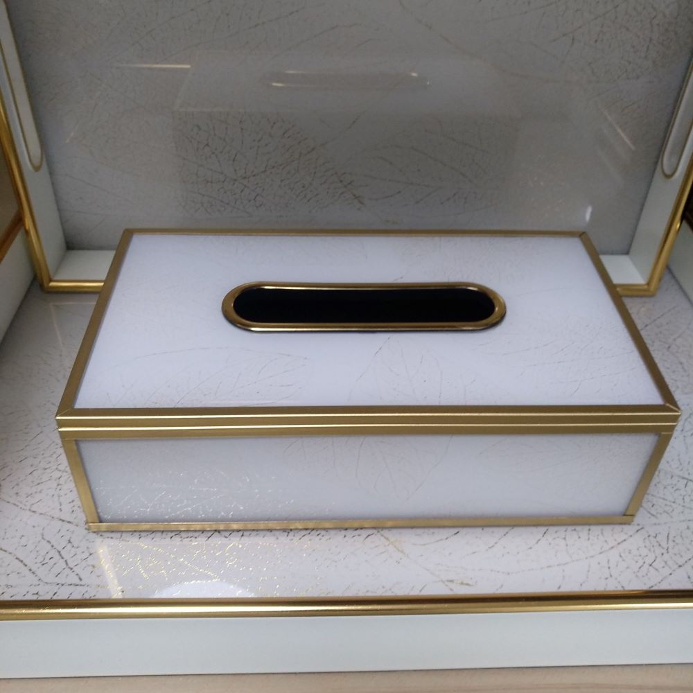 לקופסא לטישו לבן L 4300