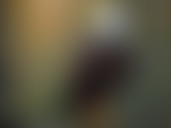 Capturing Wildlife: The Art of Nature Photography