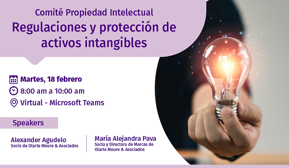 COMITÉ PROPIEDAD INTELECTUAL: Regulaciones y protección de activos intangibles
