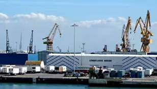 El comercio exterior de EE.UU creció en 2025 a un ritmo similar al del conjunto del G20