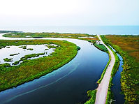 LA - Website - Bayou.jpg