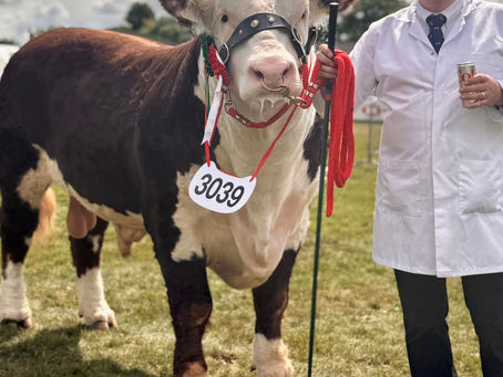 Royal Welsh
