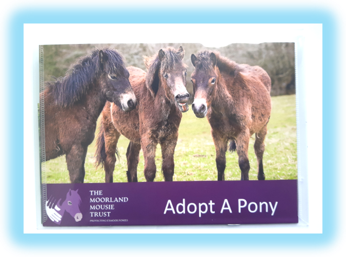 Thumbnail: Adopt A Pony Pack