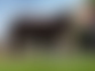 MORE FROM LAST WEEKEND..