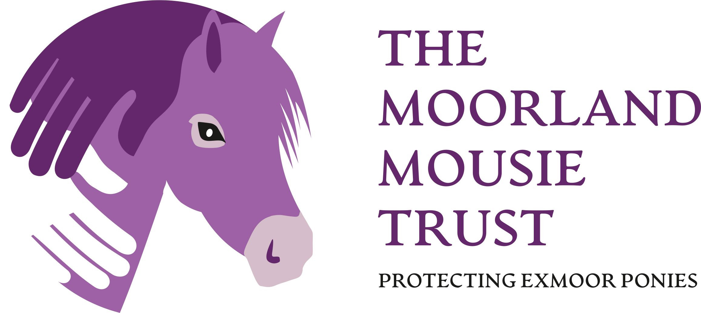 Exmoor Pony Centre | Moorland Mousie Trust | Ashwick Exmoor Pony Centre | Moorland Mousie Trust | Ashwick