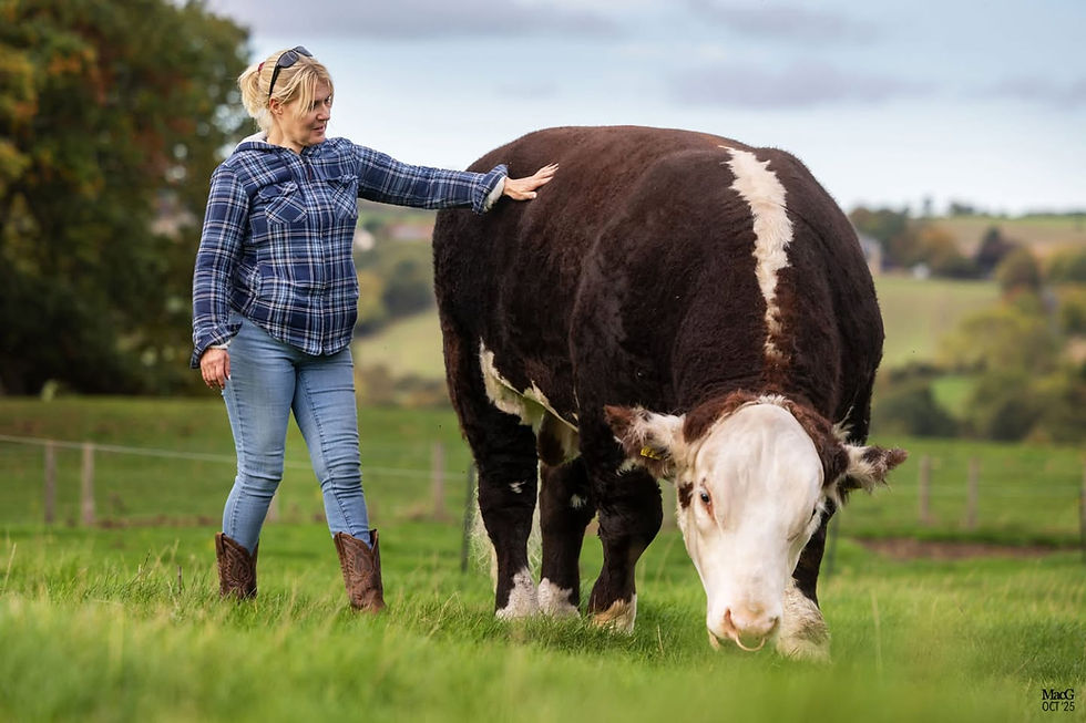 DESIGNER GENES SALE LOT 1 - MORALEE 1 BIG TIME RK349