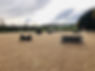 170072021_120908660064764_5547710068426911750_n.jpeg