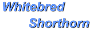 whitebred_shorthorn_logo.gif