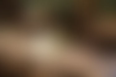 Wedding Florist Sydney: Flowers That Feel Like You