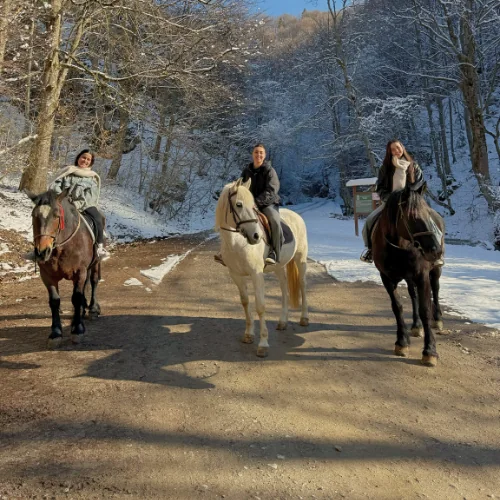 Traseu de echitatie in natura pentru participanti in zona Rasnov