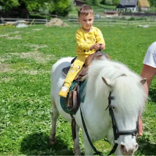 Copil in manej la o sesiune introductiva de echitatie junior in Rasnov