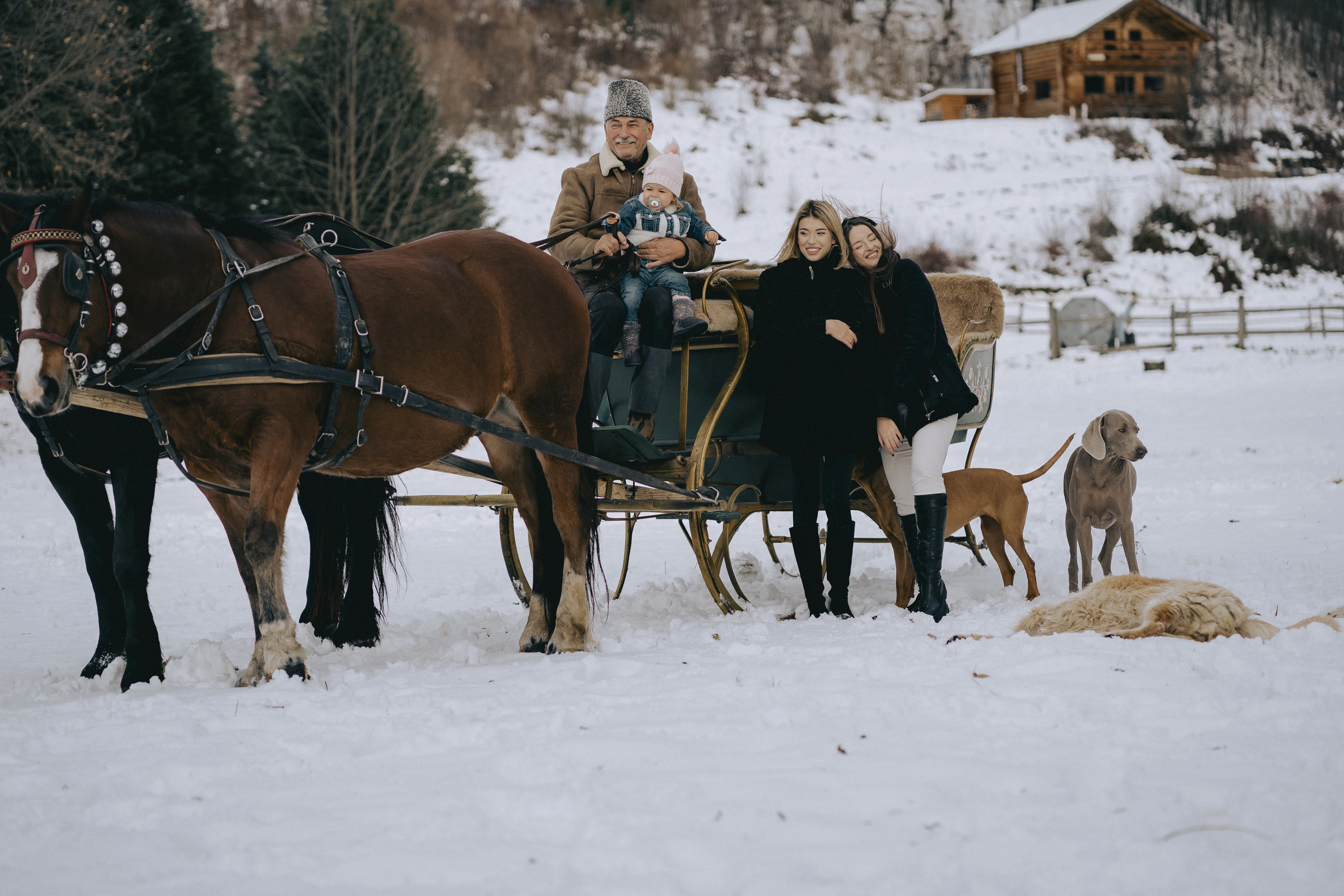 Plimbare cu trăsura în Râșnov