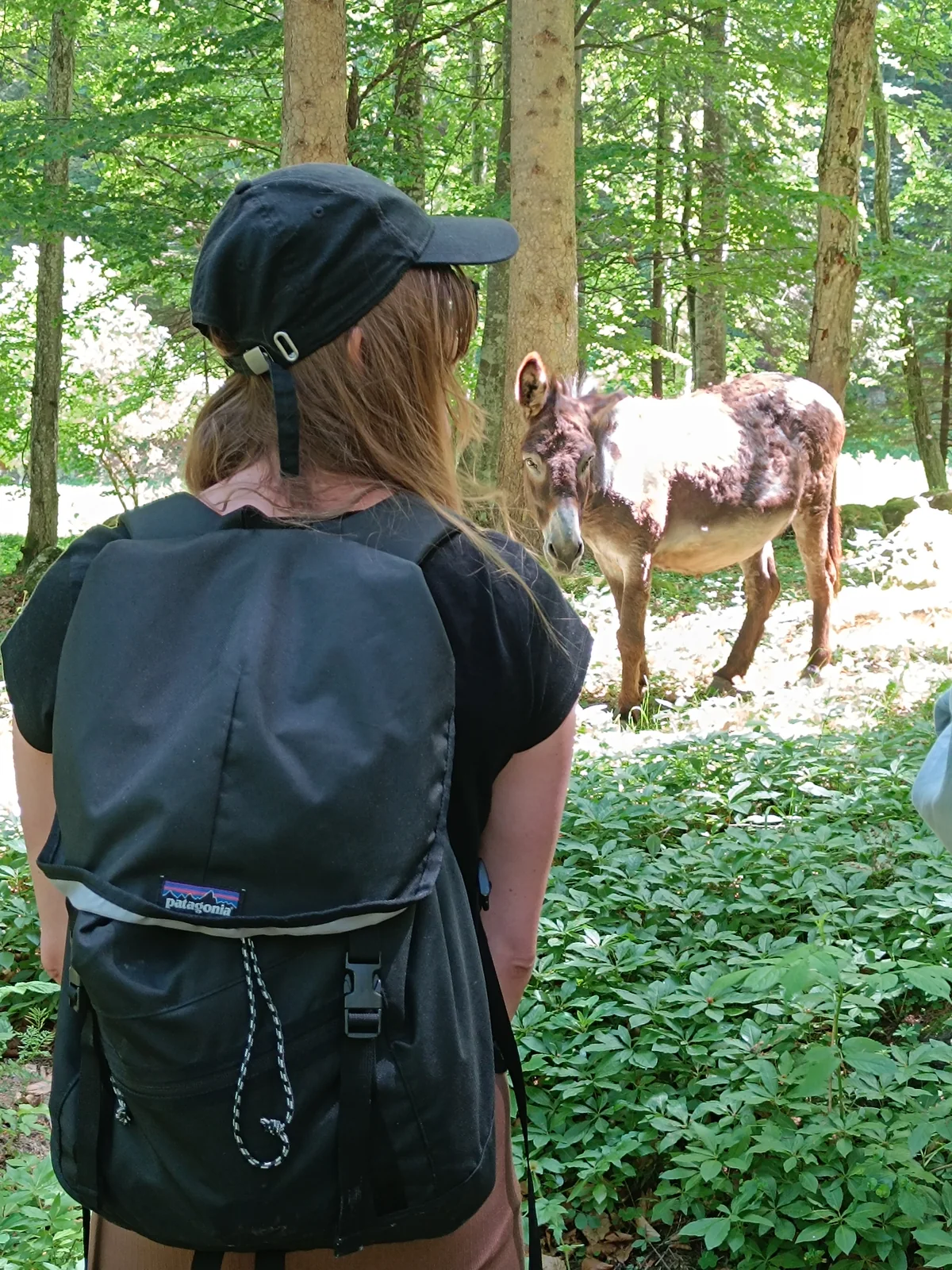 Natura rurala si experienta autentica in satele Magura si Pestera
