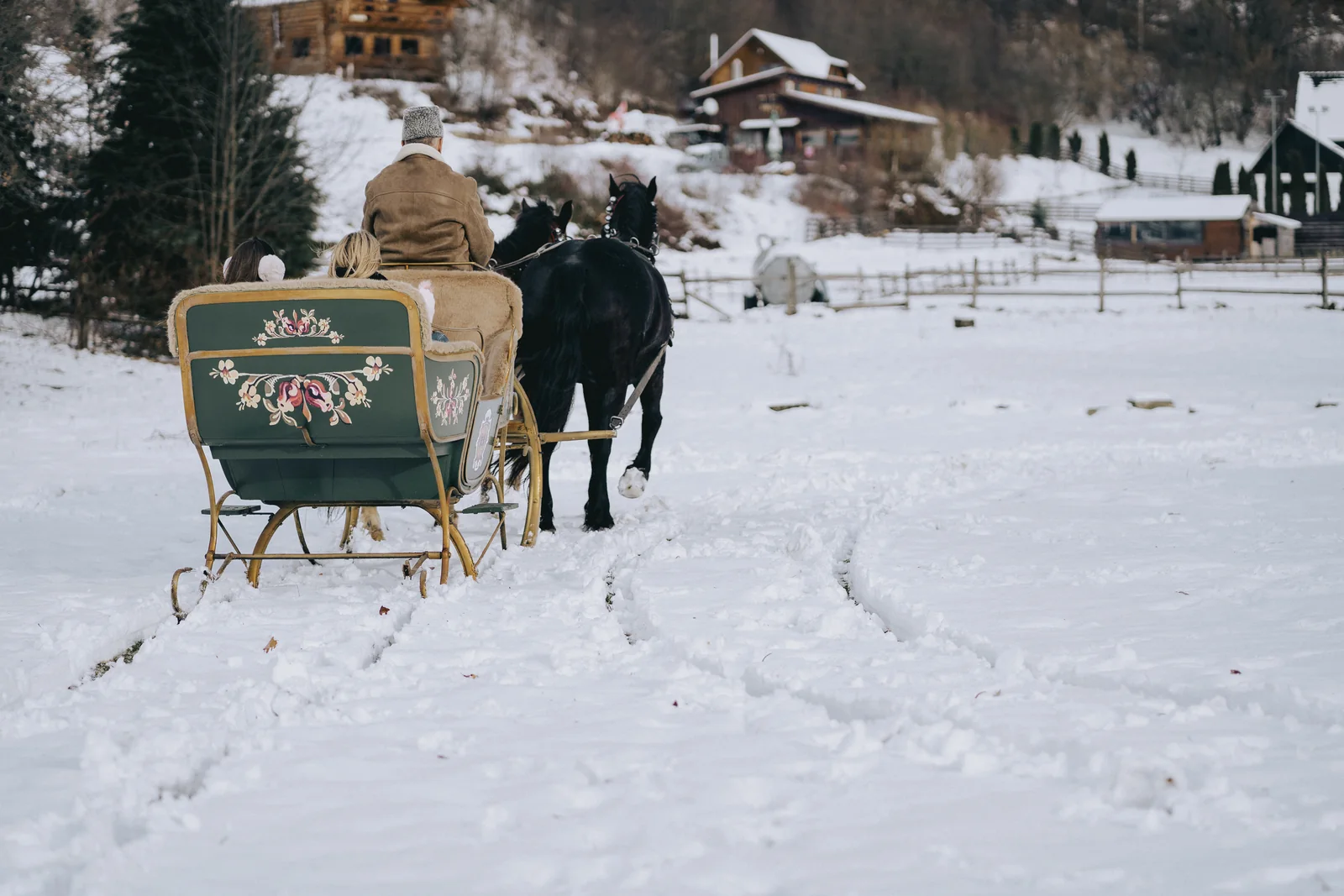 Plimbare cu trasura pentru familii si grupuri coordonata prin MAX International