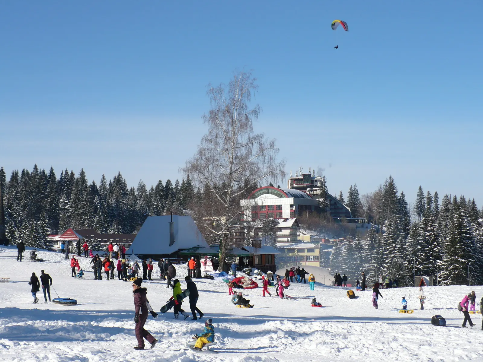 Peisaj de iarnă în Poiana Brașov, oprire scenică în turul privat