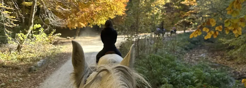Plimbare calare in natura la Rasnov prin MAX International