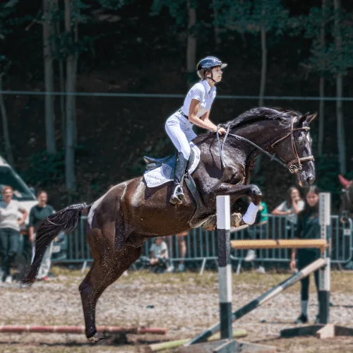 Sesiune sportiva de echitatie si sarituri in zona Rasnov