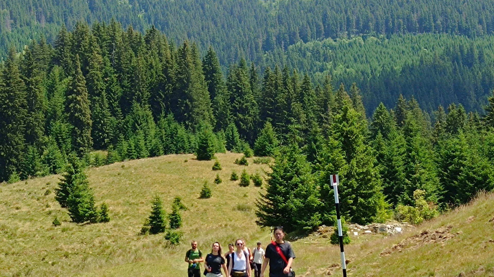 Padure si munte in turul de biodiversitate botanica din Carpati