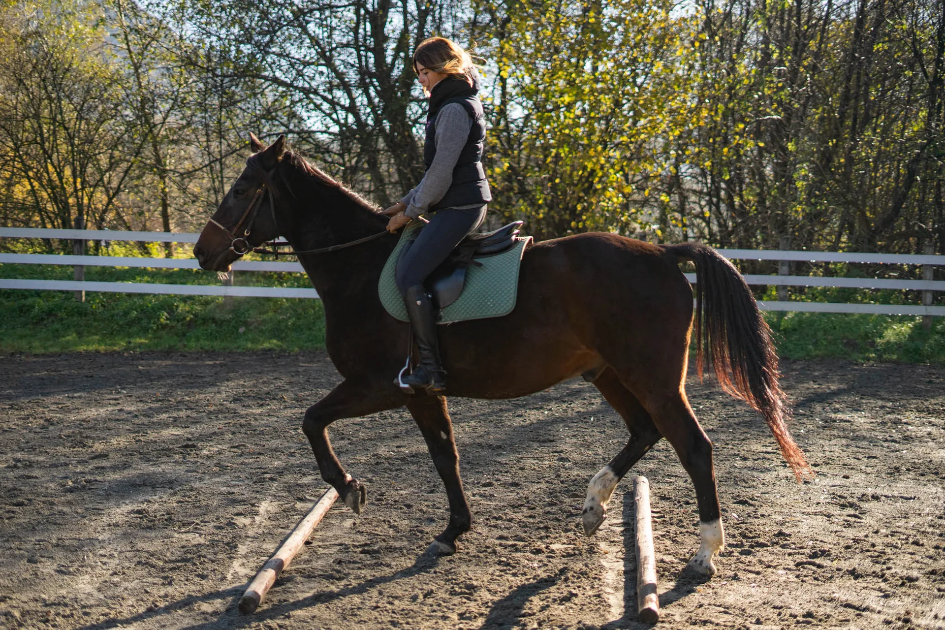 Lecție echitație sportivi în Râșnov