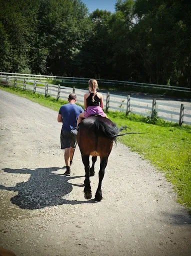 Activitate ecvestra pentru copii cu ponei si cai in zona Rasnov