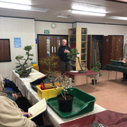 MK Bonsai Meeting March 2022 5.jpeg