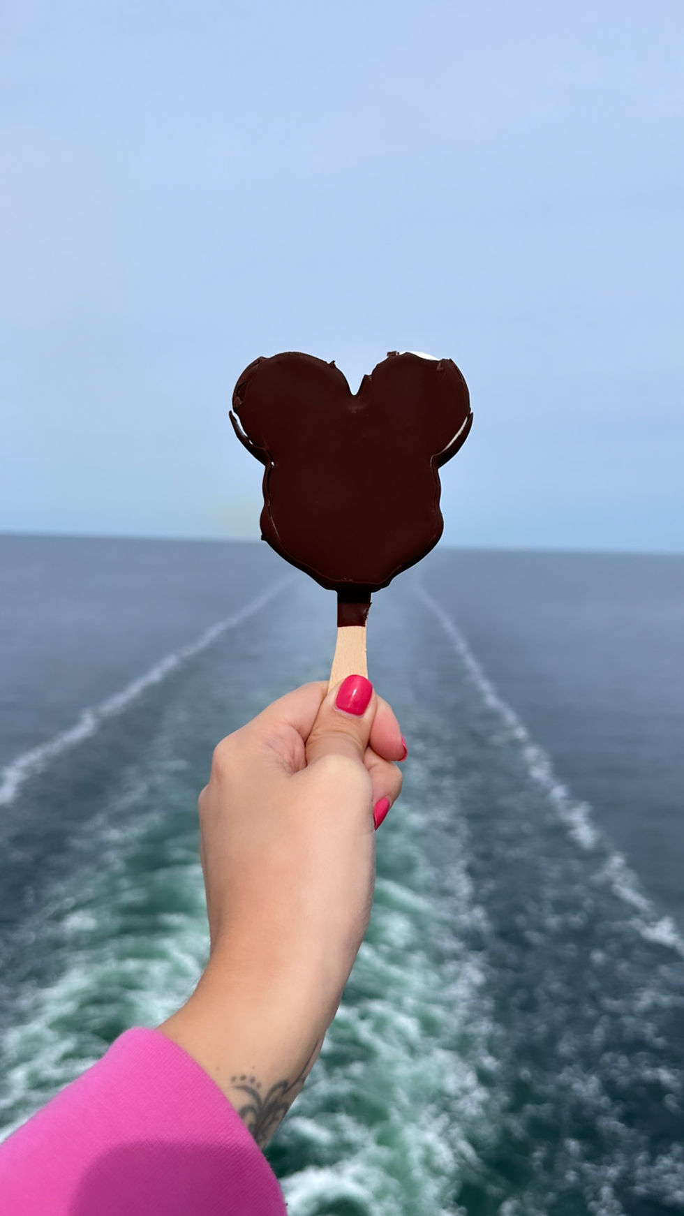 Disney Cruise