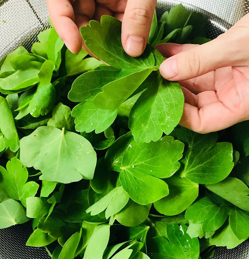 サムネイル： 冷凍小豆島ぎょうざ（30個入）