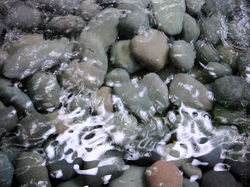 Meditation Rocks Heather Bonker.jpg