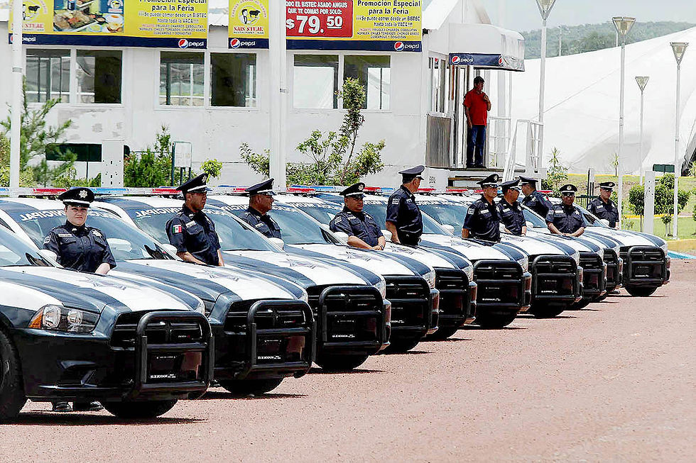 SEGURIDAD PÚBLICA