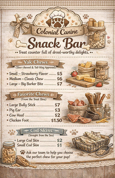 ChatGPT Image Feb 22, 2026, 08_53_03 AM.png