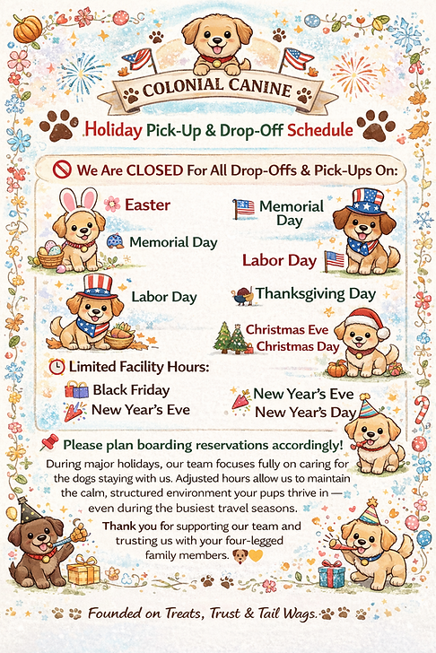 ChatGPT Image Feb 17, 2026, 01_45_54 PM.png