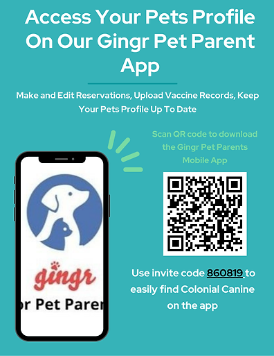 Access Your Pets Profile On Our Gingr Pet Parent App.png