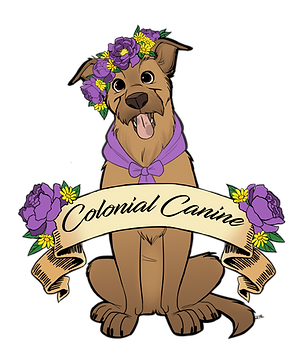 Colonial_Canine_Spring_Logo_Transparent.png