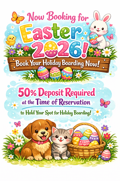 ChatGPT Image Jan 11, 2026, 07_49_12 AM.png