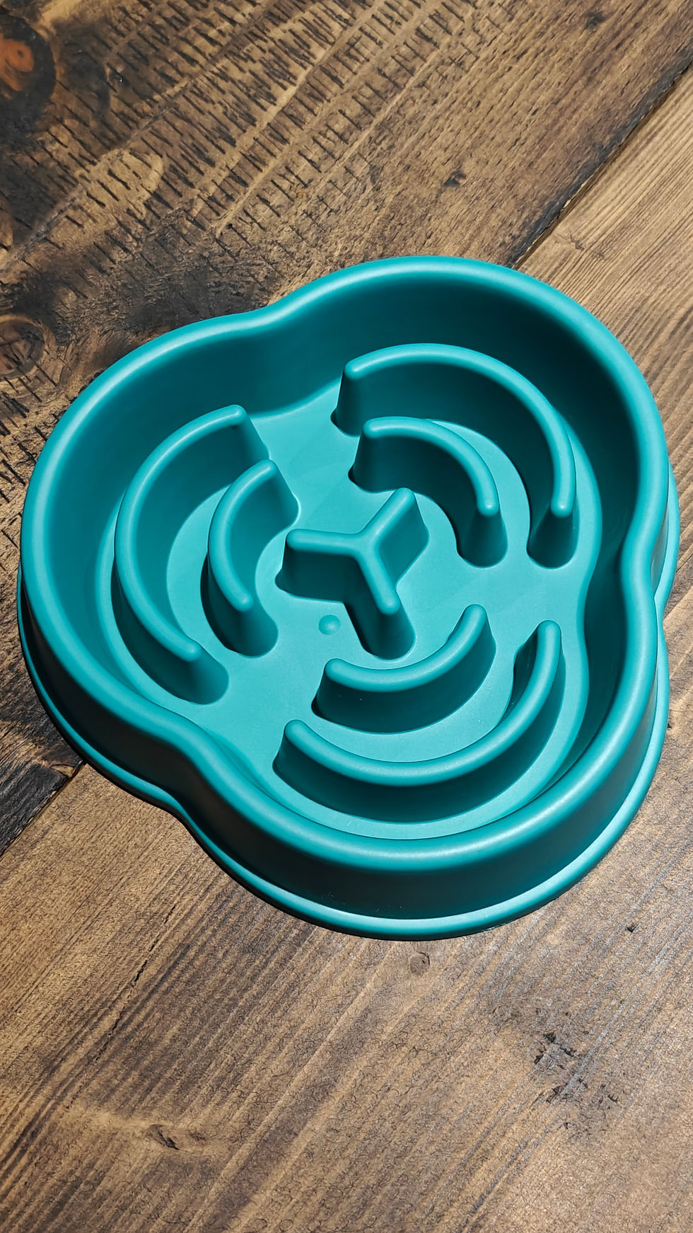 Slow Feeder Dog Bowl