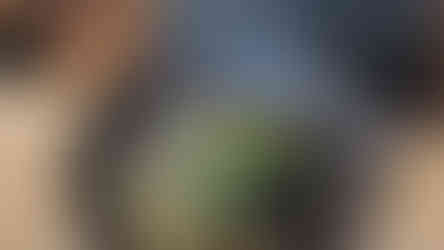 Gourmet dinner at Hótel Hallormsstaður