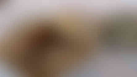 Gourmet dish at Boutique Hotel Anna