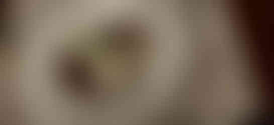 Gourmet dish at Boutique Hotel Anna