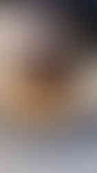 Gourmet dish Boutique Hotel Anna