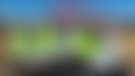 2026年 3月 14日 緑区見沼田んぼキレイキレイ大作戦参加