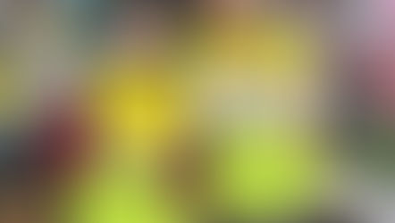 2025年 12月 11日 イオン黄色レシートキャンペーン協力