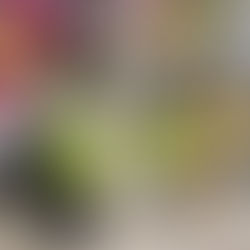 2026年 2月 11日 イオン黄色レシートキャンペーン協力