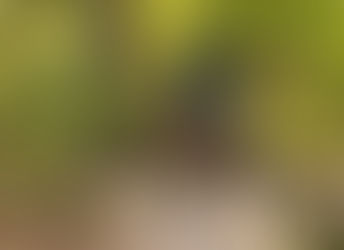 Mountain Bike Trails to Explore in Florida