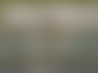 Tulum Airport and the Mayan Train will open in December 2023