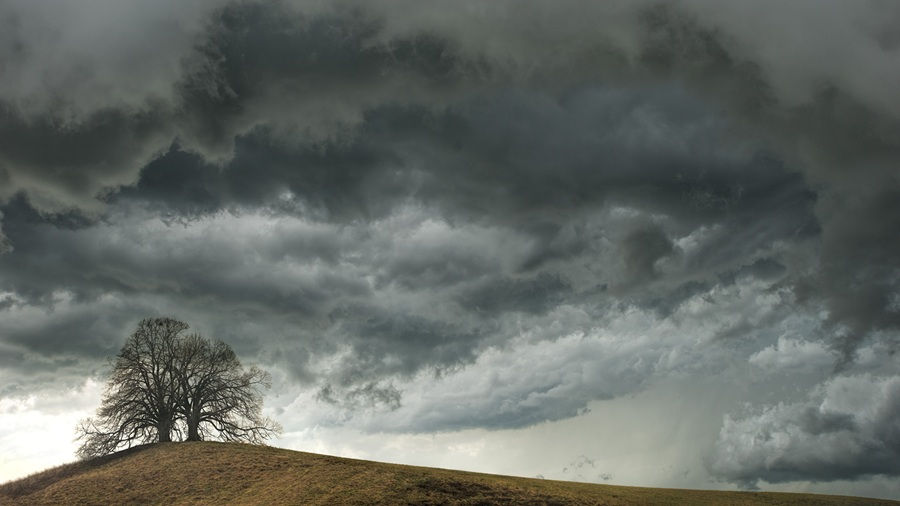When Life Changes Us: Understanding Resilience and Post-Traumatic Growth